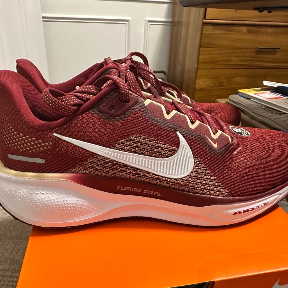NEW Florida State Seminole Nike Zoom Pegasus 42 running shoe Brand New w/ Box - Picture 2 of 5